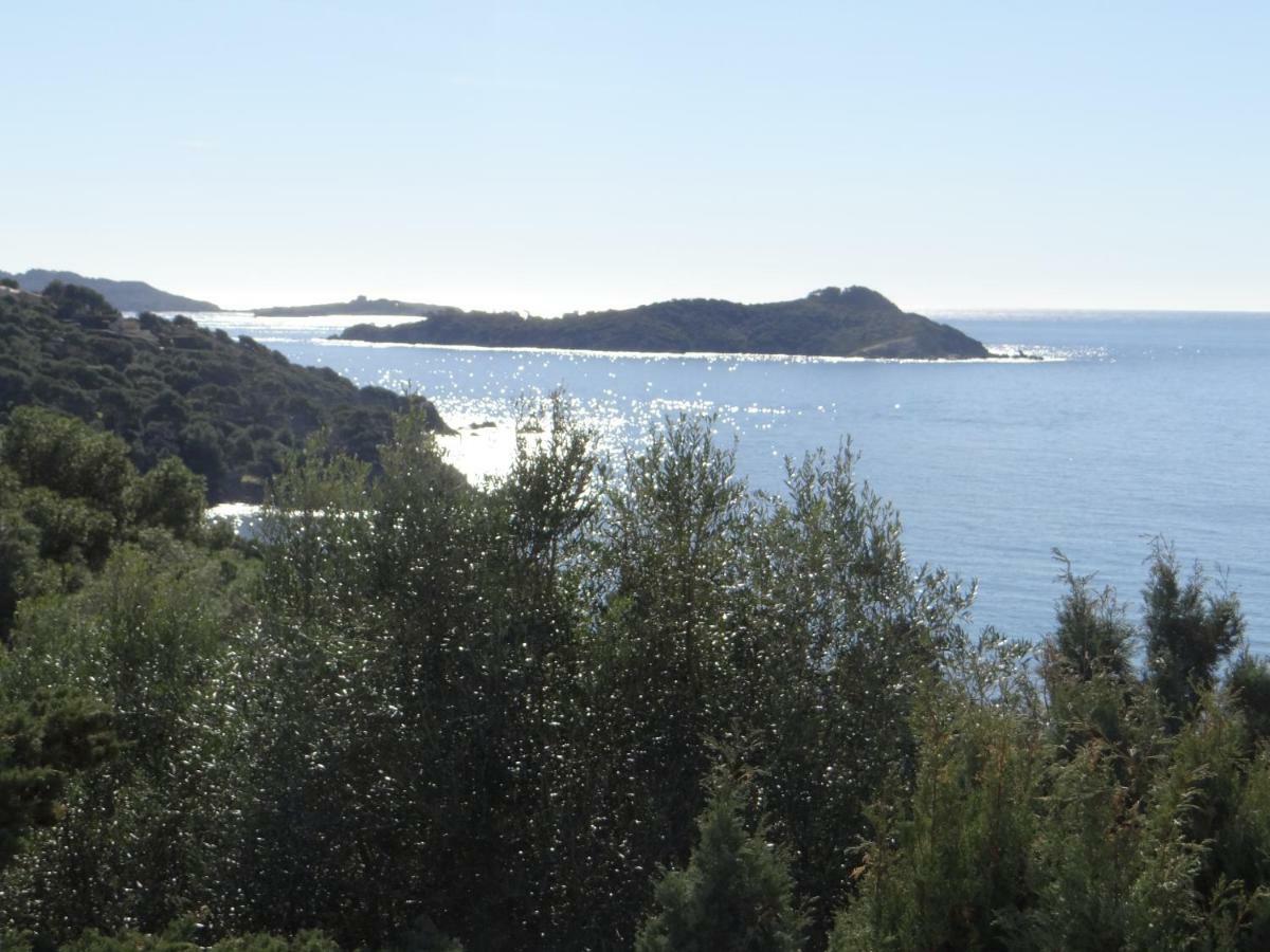 Appartement Vue Mer, Presqu'Il De Giens Hyères Buitenkant foto